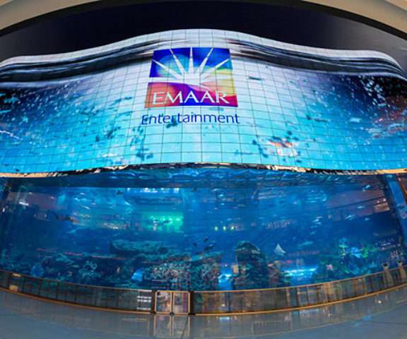 Dubai Mall Aquarium